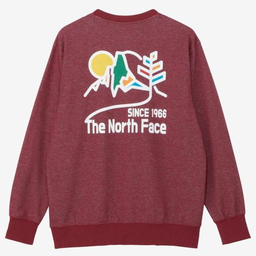 THE NORTH FACE〉Graphic Sweat Crew (NT82492) | PUMP ONLINE