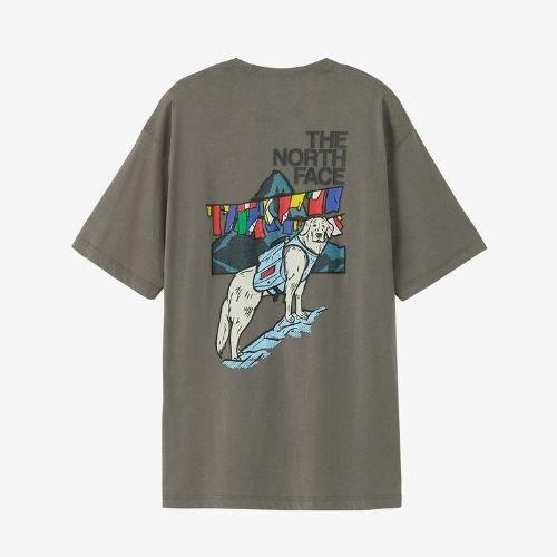 値下げしました！【中古】ノースウルフ NORTH WOLF NW-DP515 デュアルアクションポリッシャー【ハンズクラフト佐賀】 31dQ2R1j8xL._AC_UF350,